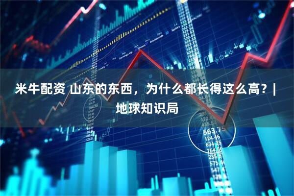 米牛配资 山东的东西，为什么都长得这么高？| 地球知识局