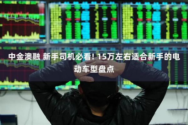 中金澳融 新手司机必看! 15万左右适合新手的电动车型盘点